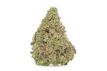 Product image of Jungle Fumes - FIGR - Dried Flower