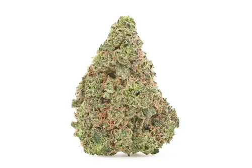 Product image of Jungle Fumes - FIGR - Dried Flower