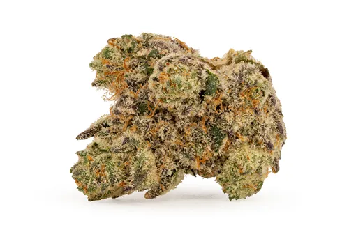 Product image of Raspberry Ice - DEALR - Dried Flower