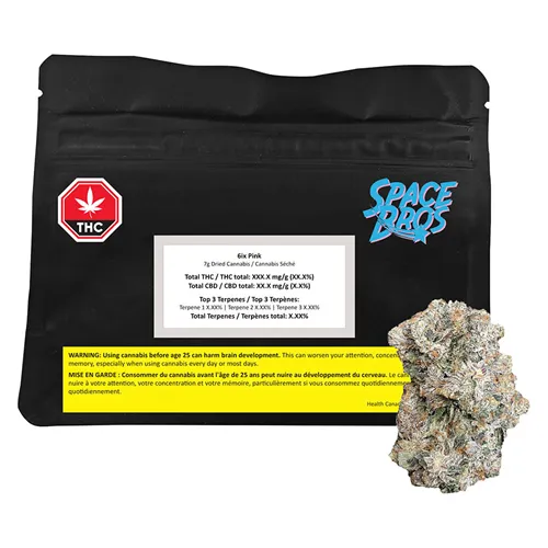 Product image of 6ix Pink - Space Bros - Dried Flower