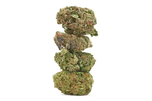 Mix 'n Match Variety Pack - 1964 - Variety Flower