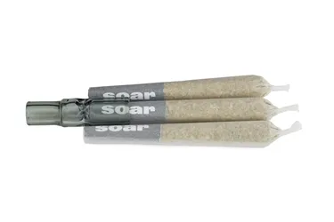 Product image of Brain Cake - Soar - Joints