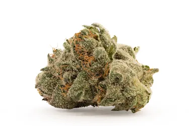 Product image of Mind Playa - Sixty Seven Sins - Dried Flower