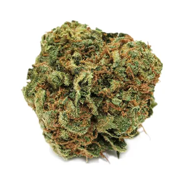 Product image of Blueberry - Spinach - Dried Flower