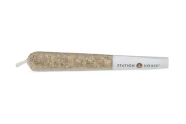 Product image of Ghost Train Haze Train Express Infused - Station House - Infused Joints