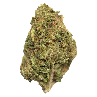 Product image of Rainbow Snowcone - AMBR - Dried Flower