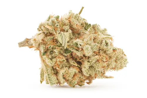 Product image of Honey Bananas - BC Weed Co. - Dried Flower