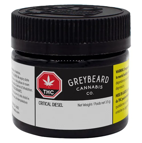 Critical Diesel - Greybeard - Dried Flower