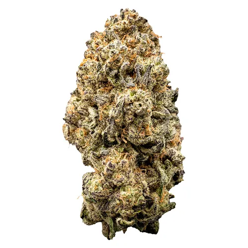 Orange Slushie - WAZA - Dried Flower