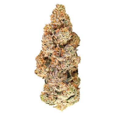 Product image of Zoy Sauce - BLK MKT - Dried Flower
