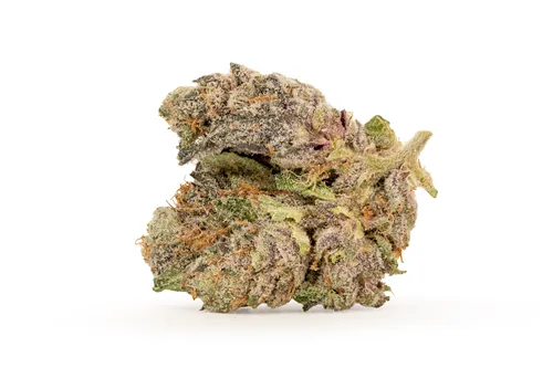 Product image of Purple Lemonade - Bonkers - Dried Flower