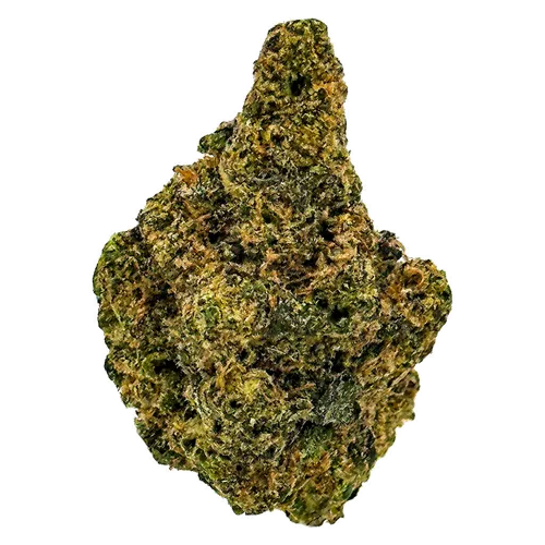 Product image of Purple Caviar - SKOSHA - Dried Flower