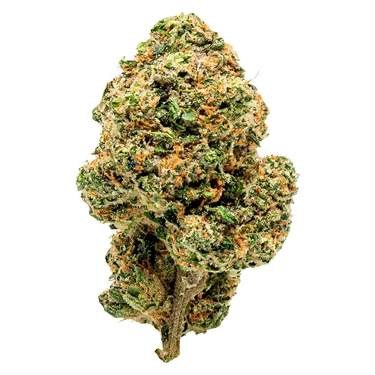 Product image of Clock In - Overtime - Variety Flower