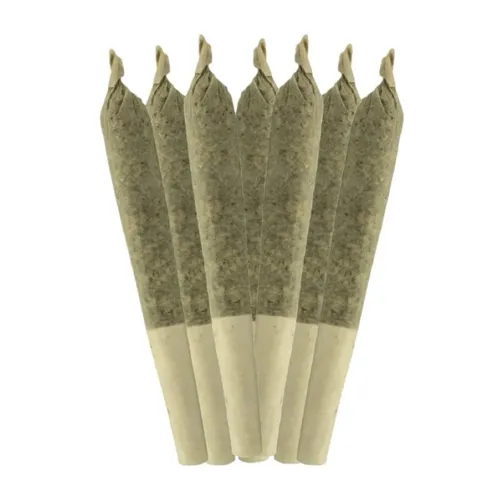 Product image of Key Lime Pie - Sheeesh! - Joints