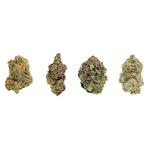 Mix 'n Match Variety Pack - 1964 - Variety Flower