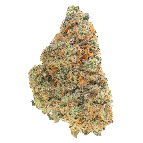 Product image of Route 66 - FOUR54 - Dried Flower