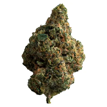 Product image of Exotic Gas - The Loud Plug - Dried Flower