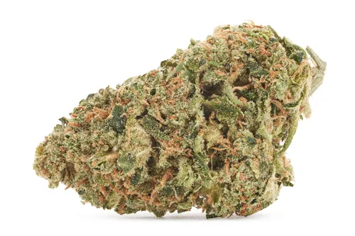 Product image of Orange Bud - Palmetto - Dried Flower