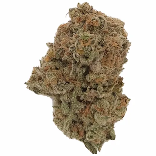 Blue Widow - Dykstra Greenhouses - Dried Flower