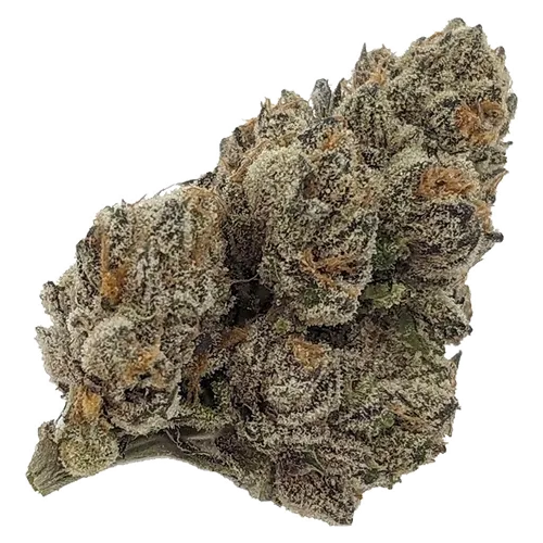 Product image of 10 G's - Rocket Factory - Dried Flower