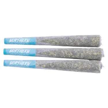 Product image of Hot Rod - Northern Canna - Joints