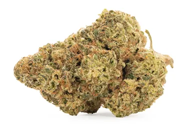 Product image of Blood Orange Kush - Tweed - Dried Flower