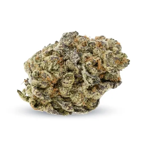 Product image of Animal Mints - One Leaf - Dried Flower