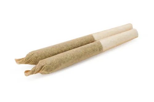 Mango Cake - Good Buds - Joints