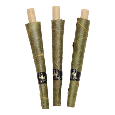 Product image of King Palm, Natural Cones