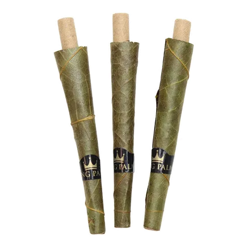 Product image of King Palm, Natural Cones