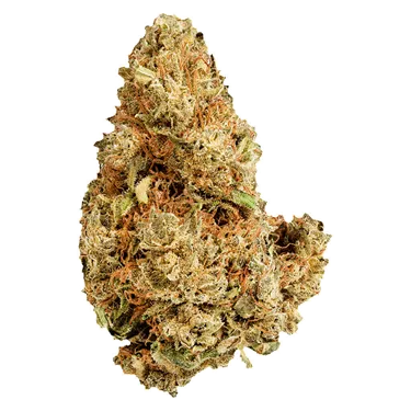 Product image of Purple Afghani - Versus - Dried Flower