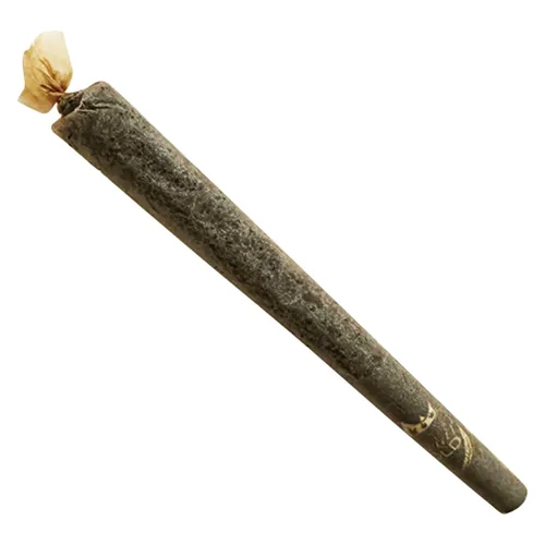 CAVILAND - Caviar Gold - Infused Joints