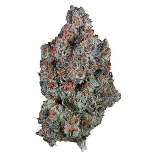 Sour Tangie - 1964 - Dried Flower