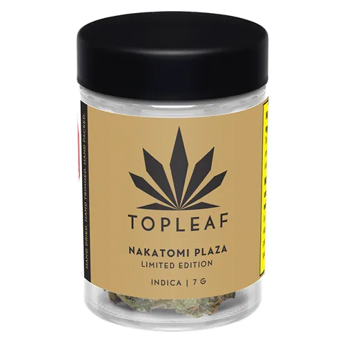 Nakatomi Plaza - Top Leaf - Dried Flower