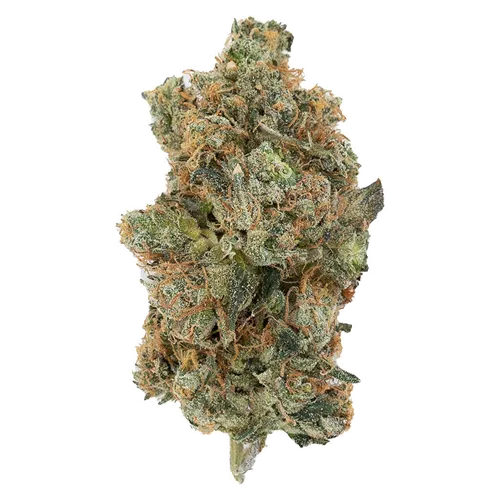 Product image of Secret Stash Sativa - Hot Box - Dried Flower