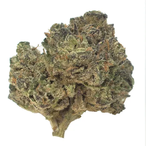 Product image of Harvest Reserve 10th Planet - Countryside - Dried Flower