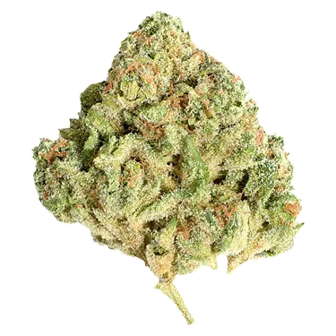 Product image of Sugar Shack - Potluck - Dried Flower