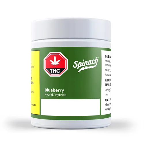Blueberry - Spinach - Dried Flower