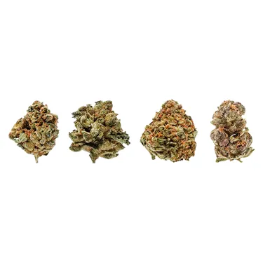 Product image of Fruit Collection - Potluck - Dried Flower