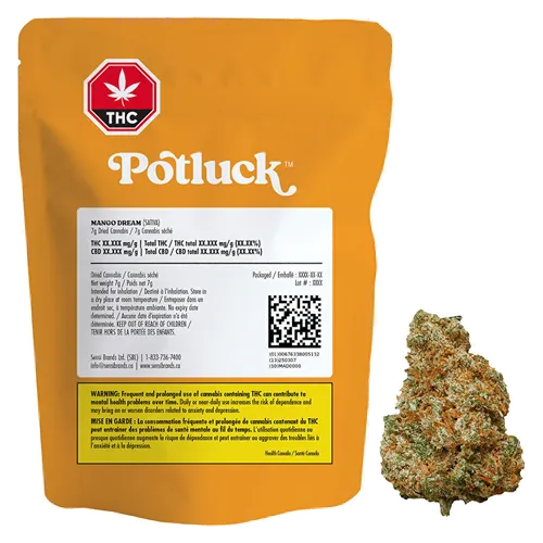 Product image of Mango Dream - Potluck - Dried Flower