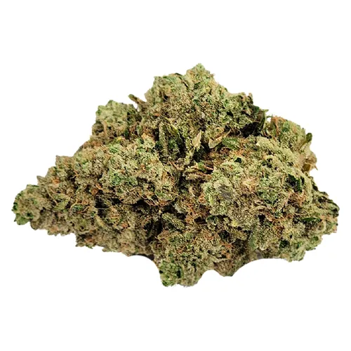 Sleeping With The Stars - Truro - Dried Flower