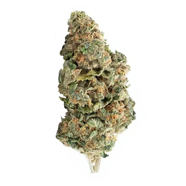 Product image of Strawberry Dream - Elevator - Dried Flower