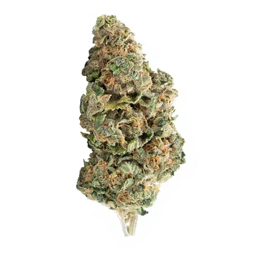 Product image of Strawberry Dream - Elevator - Dried Flower