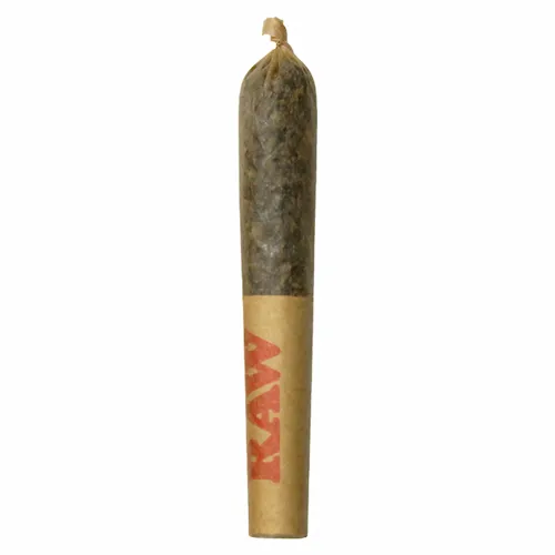 Ghost Train Haze Resin Infused - Dab Bods - Infused Joints