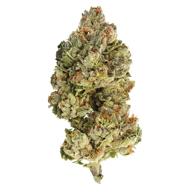 Product image of Sativa - Encore - Dried Flower