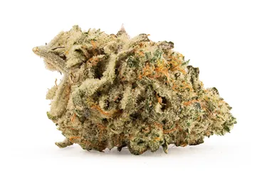 Product image of Platinum Skywalker Premium Smalls LTO - Woody Nelson Country Club - Dried Flower