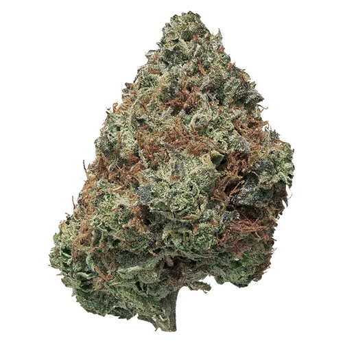 BC Organic Pink Drip - Simply Bare - Dried Flower