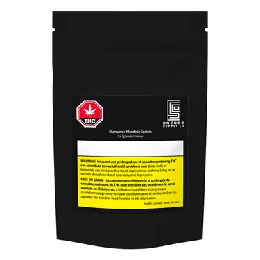 Product image of Slurricane x Mandarin Cookies - Encore - Seeds