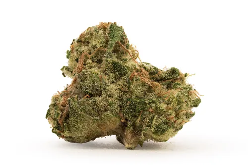 BC Organic Hibachi Blue - Simply Bare - Dried Flower