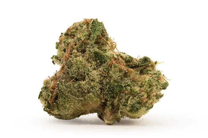 Product image of BC Organic Hibachi Blue - Simply Bare - Dried Flower